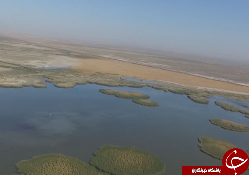 سفر بیش از ۵۰ هزار پرنده مهاجر به بهشت پرندگان ایران