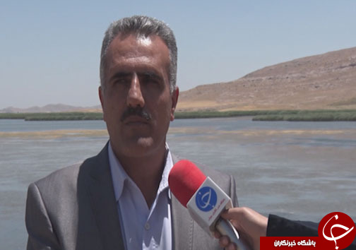 سفر بیش از ۵۰ هزار پرنده مهاجر به بهشت پرندگان ایران