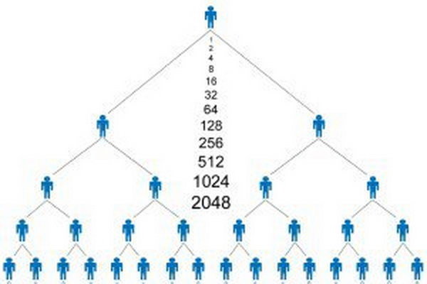 دستگیری ۱۳ سرشاخه شرکت هرمی QNET در کرج