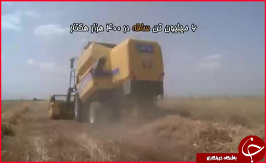 درخشش باشگاه خبرنگاران گلستان در جشنواره تولیدات مراکز استان&zwnj;های صداوسیما