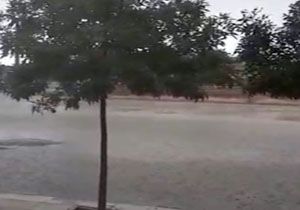 گلایه شهروندان بوئین میاندشت از نیمه&zwnj;کاره ماندن پروژه/ وداع پرشور مردم با پیکر شهید جواد عبدی در قروه + فیلم و تصاویر