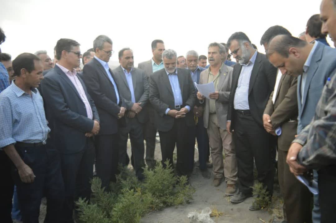 بازدید وزیر جهاد کشاورزی از طرح مرتعداری چمن آب باریک