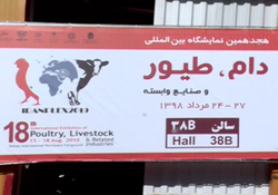 درخشش آثار هنری یک مجسمه ساز در موزه و خیابان‌ها + فیلم