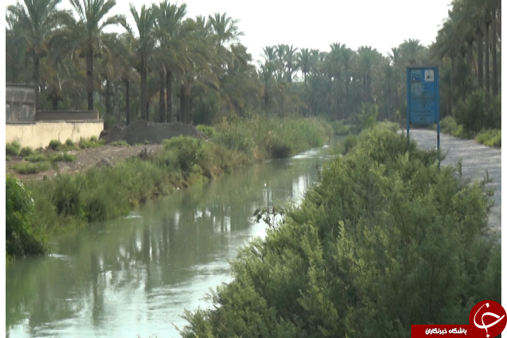 تابستان، شنا، حادثه