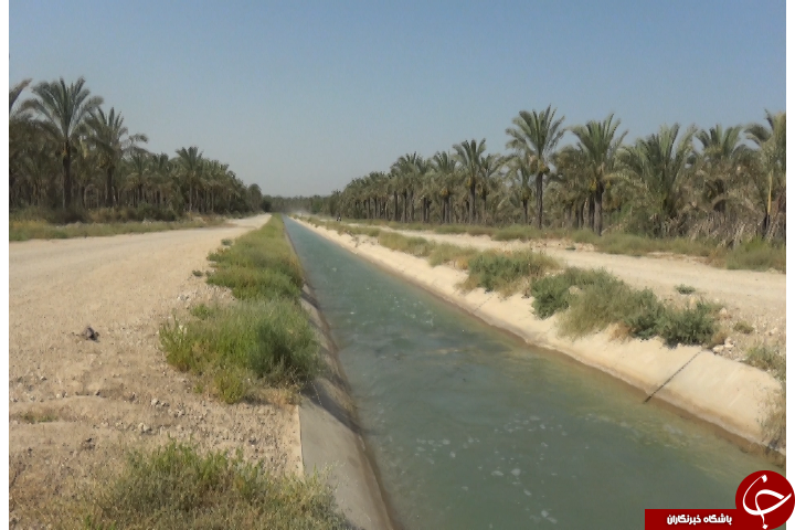 تابستان، شنا، حادثه
