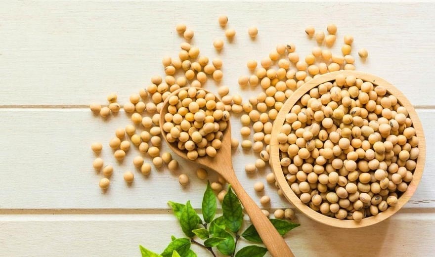 پروتئین گیاهی سویا با بدن شما چکار می&zwnj;کند؟