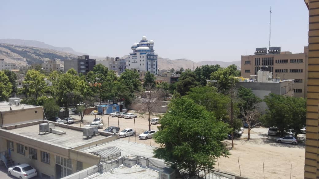 صفا، بازمانده صفویه جام رحمت را سر می کشد/درختان باقی مانده به عمد خشک می شوند!