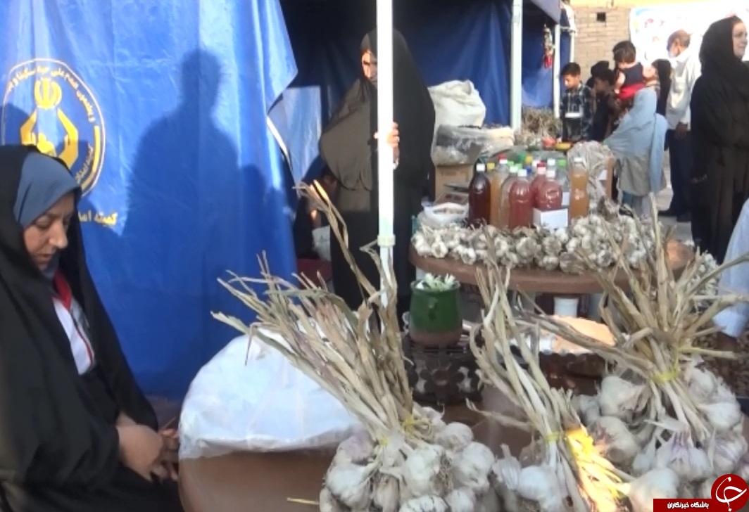 جشنواره سیر کهک در تفرش جشنواره سیر کهک در تفرش