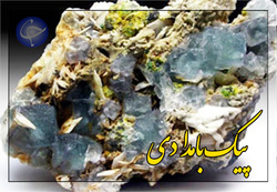ماجرای پرخرج‌ترین عکس کره‌ای‌ها با مقامات آمریکایی + فیلم