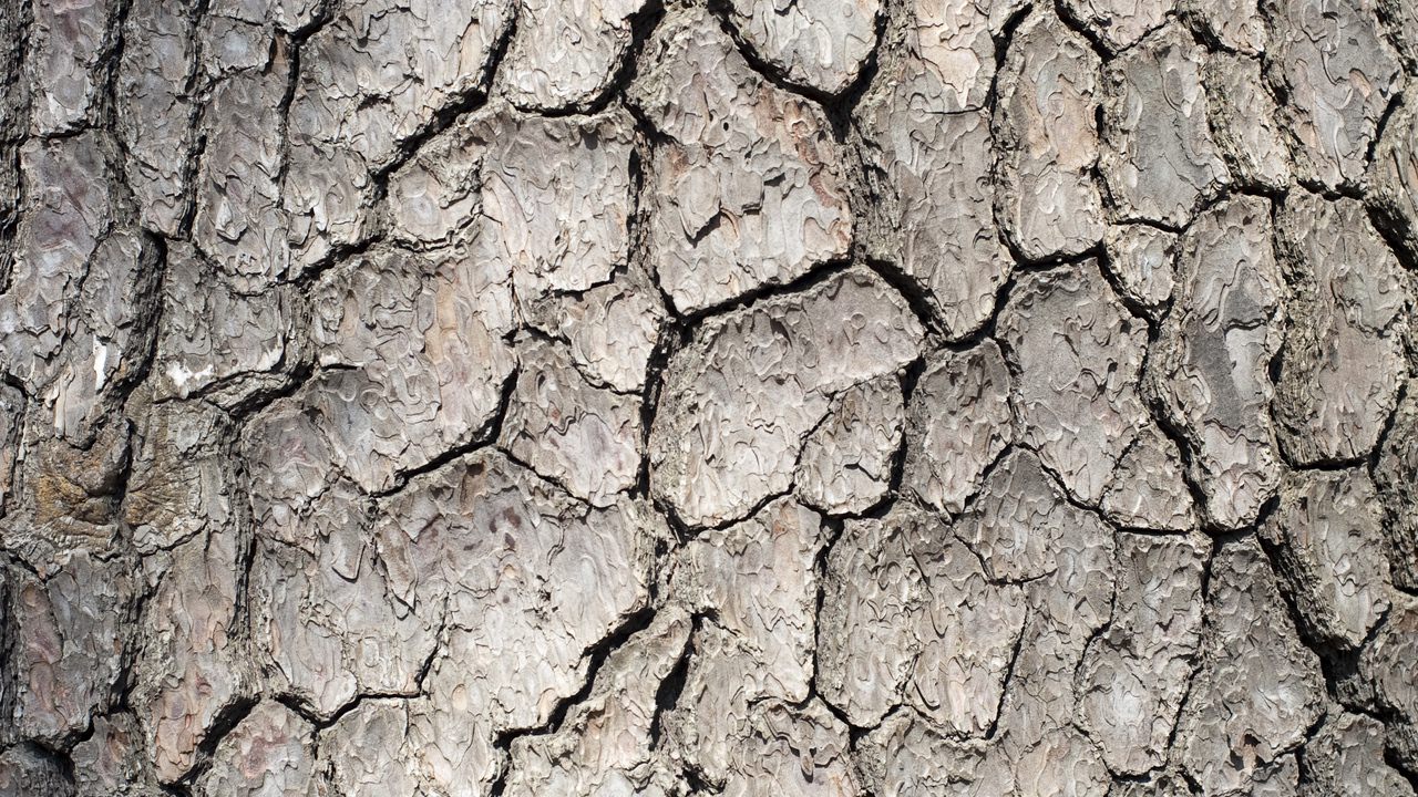 برترین تصاویر پس&zwnj;زمینه (۲۳ اردیبهشت)