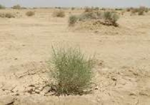 ۲۲ پروژه منابع طبیعی در هفته دولت افتتاح می شود