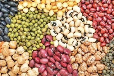 انواع حبوبات بسته بندی + قیمت