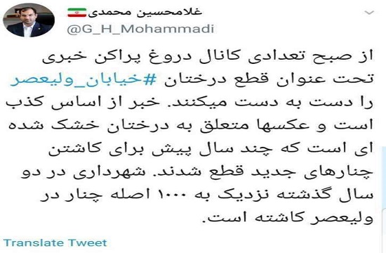 قطع درختان ولی&zwnj;عصر(عج) تکذیب شد