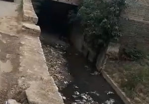 وضعیت نامناسب کانال فاضلاب در آزادشهر + فیلم