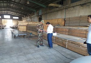 اداراه منابع طبیعی سنگر اول مبارزه با قاچاق چوب است