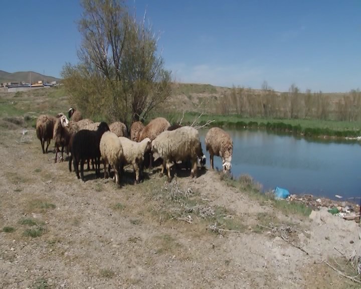 حفظ و حراست از منابع طبیعی راهکار اصلی کنترل سیلاب/ ۶۹۰ هزار هکتار مطالعه طرح آبخیزداری در استان همدان انجام شده است