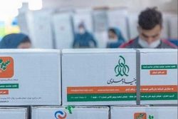توزیع سبد غذایی حمایتی بنیاد علوی بین مادران باردار سروآبادی