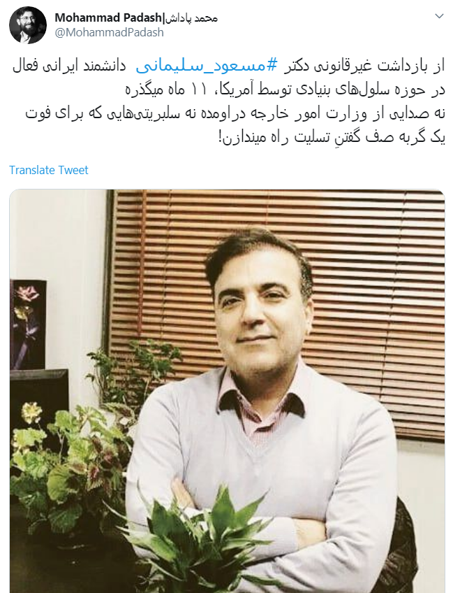 مسعود سلیمانی