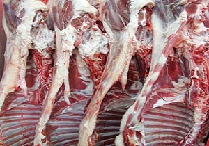 جمع آوری ۱۵ کیلوگرم گوشت غیر قابل مصرف در عید قربان در قزوین