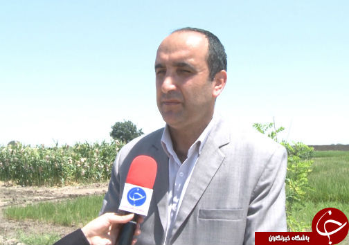 رونق کشاورزی گلستان در گرو حفظ بذرها بومی
