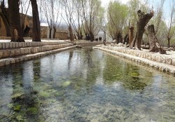 زنان کارآفرین موفق در لرستان + فیلم