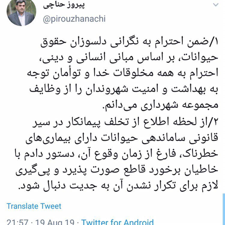 واکنش حناچی به ماجرای سگ کشی در پایتخت/ دستور شهردار تهران برای برخورد با خاطیان