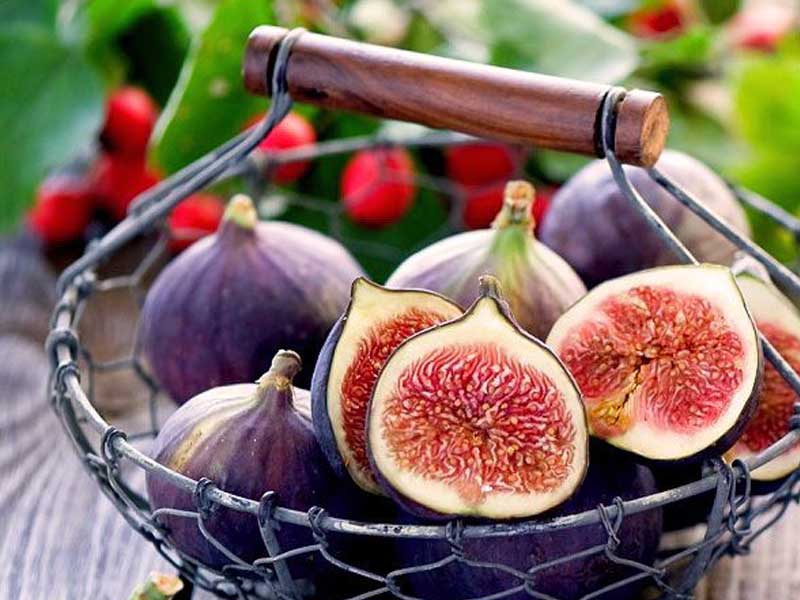ضرورت تشکیل زنجیره ارزش برای ساماندهی تولید تا عرضه انجیر