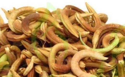 رهایی از سنگ کلیه با نسخه&zwnj;های طبیعی +پرهیزات غذایی / قوی&zwnj;ترین سنگ شکن&zwnj;های گیاهی