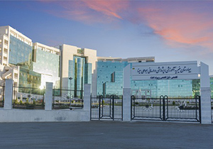 شیراز بزرگترین مرکز پیوند کبد در دنیا