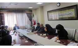 &zwj; برگزاری کنفرانس بین المللی سونوگرافی مفصل هیپ نوزادان در نیشابور