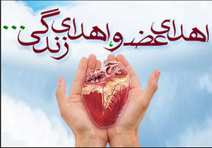 اهدای عضو بیمار۴۳ ساله مرگ مغزی در بندرعباس