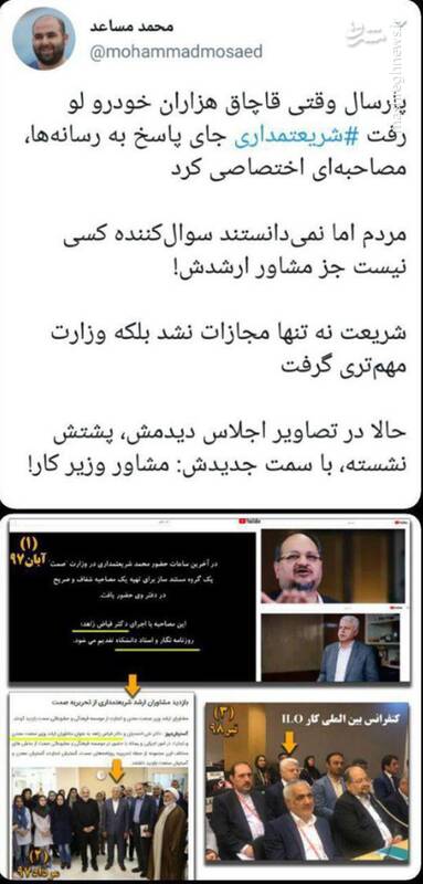 ماجرای یک استاد &laquo;تاریخ&raquo; که مشاور ارشد دو وزارتخانه اقتصادی است!/ باز هم پای محمد شریعتمداری در میان است +تصاویر و اسناد
