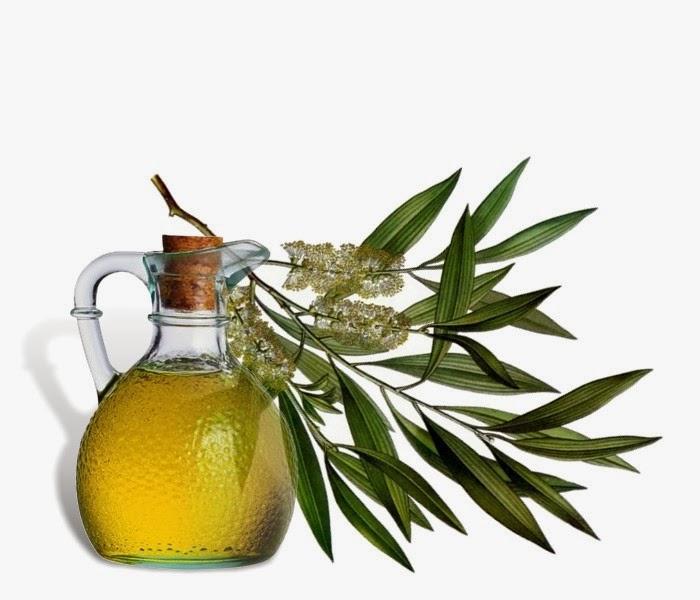 روغن&zwnj;هایی که موهایتان را سالم نگه می&zwnj;دارند