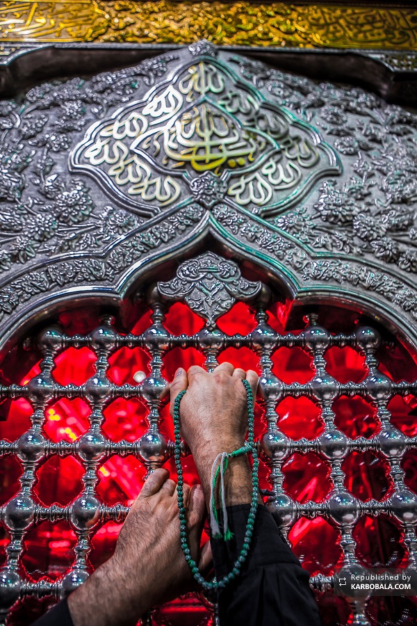 تصاویری از بهشت خدا روی زمین/ بسته عکس با کیفیت از کربلای معلی