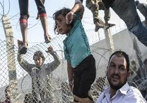 حقایقی تکان دهنده در مورد سرنوشت مهاجرت به  آمریکا + فیلم