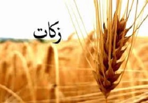 کشاورز سربیشه‌ای ۳ تن از محصولش را زکات داد