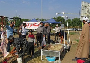توزیع ۱۹ تن گوشت قربانی میان نیازمندان قزوینی