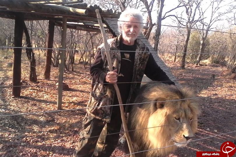 حمله مرگبار شیرها به صاحبشان در داخل قفس