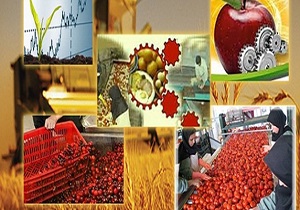 ثبت نام ۱۱ هزار متقاضی برای دریافت تسهیلات اشتغال روستایی در اردبیل