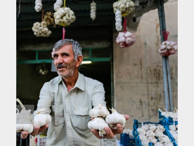 برگزاری جشنواره سیر در سولان
