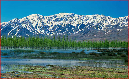 سفر به بام زیبای ایران +تصاویر