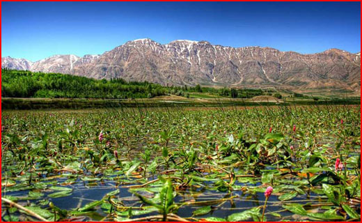 سفر به بام زیبای ایران +تصاویر