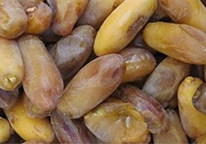 ثبت جهانی خرمای شاهانی جهرم