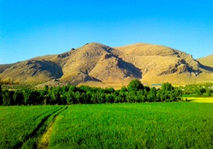 تپه فرهنگی و تاریخی "چم‎شته" در سلسله ثبت ملی شد
