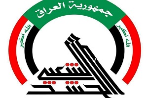الحشد الشعبی هواپیمای متجاوز را سرنگون کرد