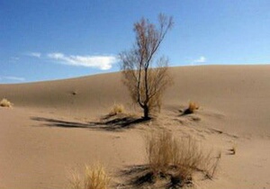 وجود ۹کانون بحرانی بیابانی در نهبندان