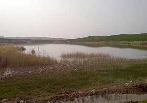 ۵۱ تالاب و رودخانه در استان اردبیل ارزش زیستگاهی دارند