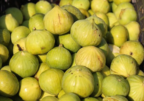 نگاهی گذرا به مهمترین رویداد&zwnj;های شنبه ۵ مرداد ماه در مازندران