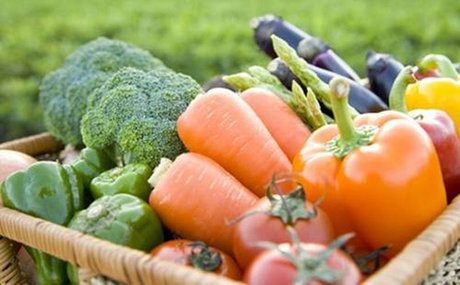 نیاز&zwnj;های بدن با رژیم گیاه&zwnj;خواری تامین نمی&zwnj;شود