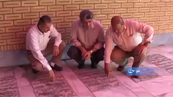 آغاز برداشت پسته از باغ‌های قم + فیلم